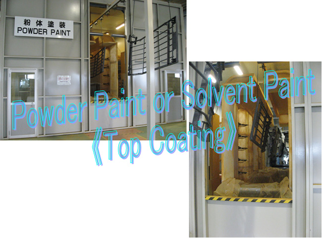 Paint(Top Coat)