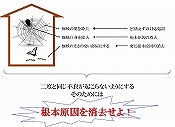 w偂̑