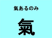 ̂ݟ