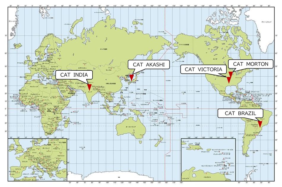 We keep active as a global enterprise providing the service with the customers under direct deals cross-culturally